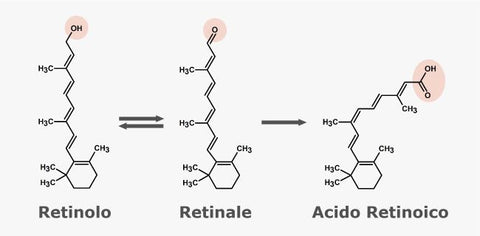 Accutane Pillole